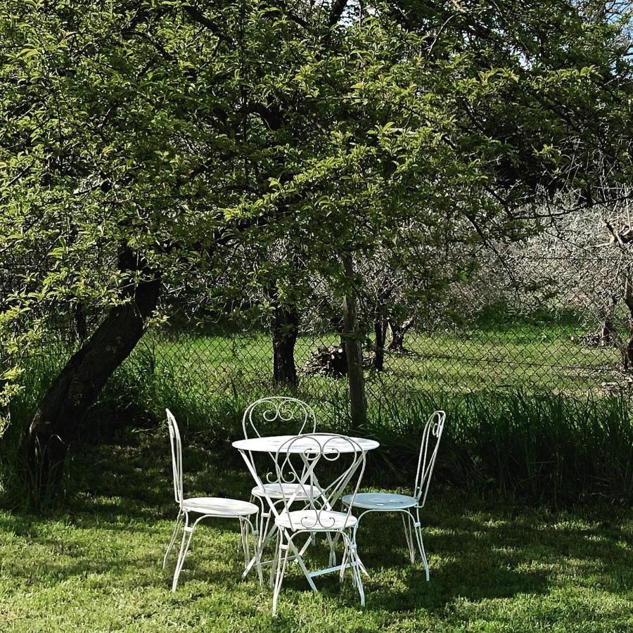 טודי Lemon Tree Boutique Guest House מראה חיצוני תמונה